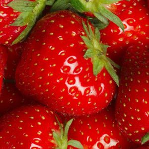erdbeeren.jpg